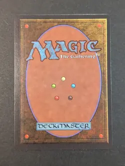 MTG - Northern Paladin - Revised 3rd Edition NM/LP - Vintage Magic The Gathering - Image 5