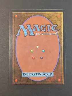 MTG - Northern Paladin - Revised 3rd Edition NM/LP - Vintage Magic The Gathering - Image 2