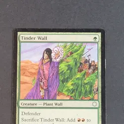 MTG - 1x Tinder Wall - Coldsnap - Theme Deck - LP - Green - Magic The Gathering - Image 5