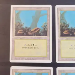 MTG - 4x Revised Edition - Forest A - LP/LP+ - Vintage White Border Land - Magic - Image 3