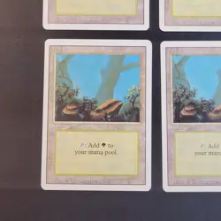 MTG - 4x Revised Edition - Forest A - LP/LP+ - Vintage White Border Land - Magic - Image 5