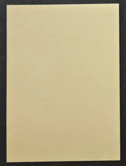 Japanese Electivire 400 Bandai Vintage Sticker Pokemon Trading Card Game 2006 LP - Image 2