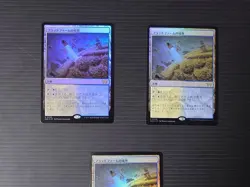 Mtg Magic The Gathering: Boundary Of Flood Farm Japan Editionfoil Set 3 - Image 2