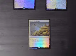 Mtg Magic The Gathering: Boundary Of Flood Farm Japan Editionfoil Set 3 - Image 3