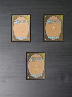 Mtg Magic The Gathering: Boundary Of Flood Farm Japan Editionfoil Set 3 - Image 4