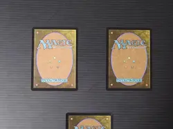 Mtg Magic The Gathering: Boundary Of Flood Farm Japan Editionfoil Set 3 - Image 5