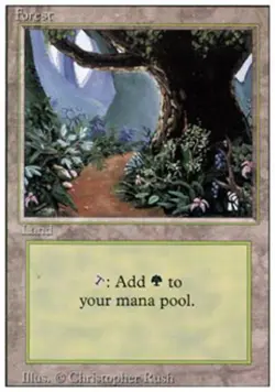Forest B - Light Play MTG Revised - Image 1