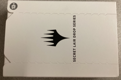 MTG Secret Lair Drop Series - Dan Frazier is Back: The Allied Signets Foil (TMG) 195166132785 - Image 2