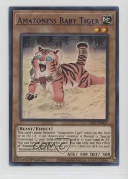 Amazoness Baby Tiger 1st Ed. YuGiOh Legendary Duelists: Season 1 00jz - Image 1