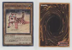Amazoness Baby Tiger 1st Ed. YuGiOh Legendary Duelists: Season 1 00jz - Image 3