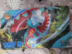 Pokemon Regional Championships 2024 Top 8 Playmat Roaring Moon - Image 1