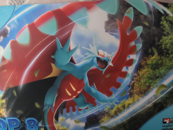 Pokemon Regional Championships 2024 Top 8 Playmat Roaring Moon - Image 2