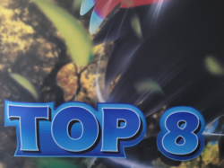 Pokemon Regional Championships 2024 Top 8 Playmat Roaring Moon - Image 4