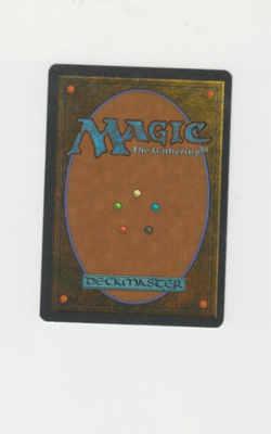 Merchant Scroll *Homelands* MTG Magic the Gathering - Image 2