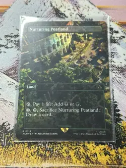 Nurturing Peatland (Borderless) 114 - Assassins Creed - MTG - Image 1