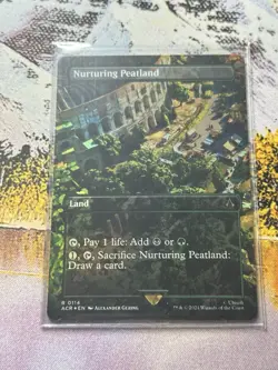 Nurturing Peatland (Borderless) 114 - Assassins Creed - MTG - Image 2