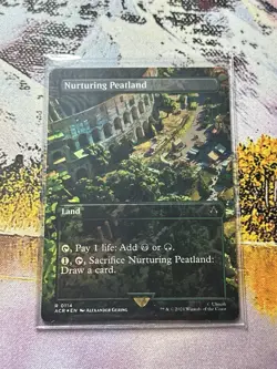 Nurturing Peatland (Borderless) 114 - Assassins Creed - MTG - Image 5