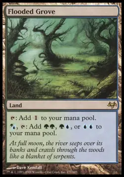 MTG English Flooded Grove NM Normal Eventide - Image 1