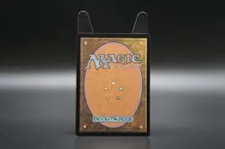 Magic The Gathering MTG Indatha Triome Ikoria #248 - Image 2