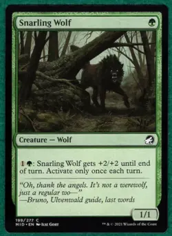 Snarling Wolf - Innistrad: Midnight Hunt MID #199 -Magic: The Gathering MTG Card - Image 1